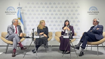 Visitó Argentina una referente internacional de la lucha por la abolición universal de la maternidad subrogada