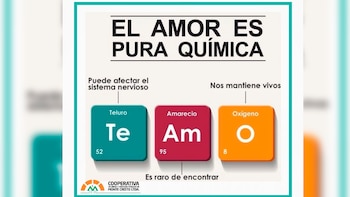 Foto: Twitter/@Comunicandono11