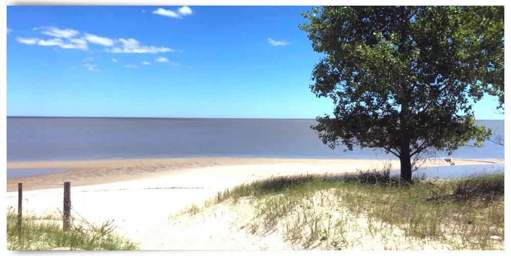 Imagen de Arazatí publicada por el Ministerio de Ambiente, luego de darle la Autorización Ambiental Previa al proyecto (Ministerio de Ambiente)