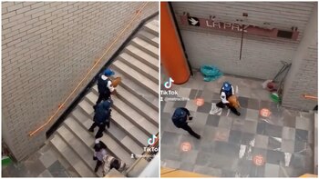 Perro es sacado de las