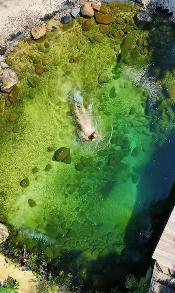 El secreto mejor guardado de Antioquia: el cenote de Valparaíso que parece sacado de México - crédito @balinesaecolodge/IG