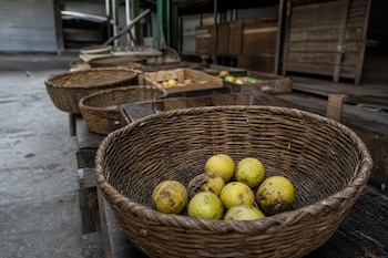 Un canasto de mimbre con varios limones en primer plano y otras canastas vacías alineadas sobre un puesto de madera.