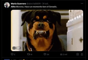 Con humor, usuarios reaccionaron a