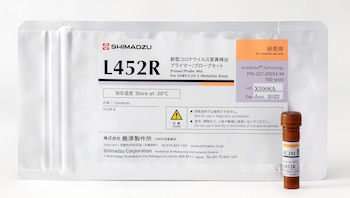 El test rápido para la