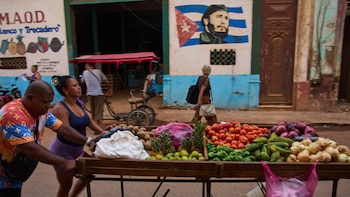 Por qué Cuba importa cerca del 80% de los alimentos que consume pese a sus condiciones naturales para producir