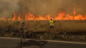 Murcia pide ayuda al Estado contra un incendio forestal en el parque regional de El Valle
