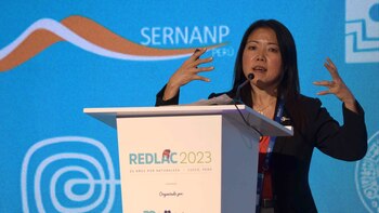 El enorme potencial del turismo