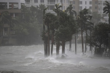 El huracán Irma frustró el regreso desde Saint Martin y los pasajeros debieron ser evacuados a Punta Cana en un vuelo humanitario. (Foto de archivo: Joe Raedle/Getty Images/AFP)