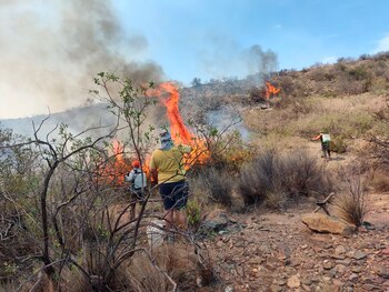 Se aconseja ventilar ambientes, retirar