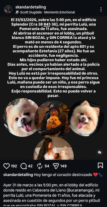 - crédito @skandardetailing/IG