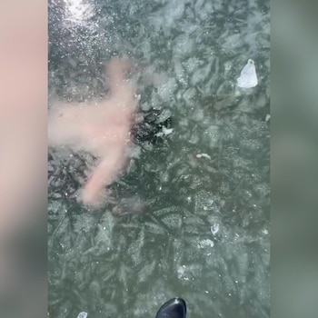 El influencer mostró su desesperación