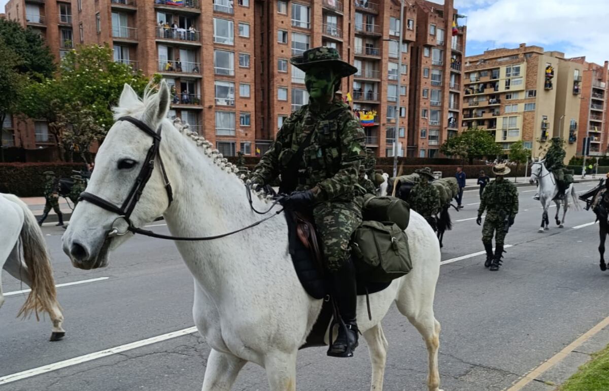 Militares recorrieron las calles del país durante los desfiles - crédito Fuerzas Militares
