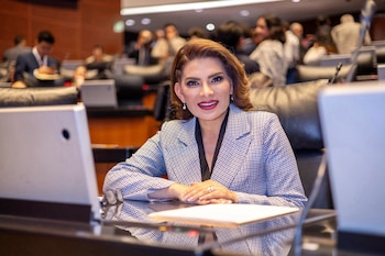 La política de Morena superó a competidores internos como Célida López y Javier Lamarque para encabezar los trabajos de defensa de la transformación