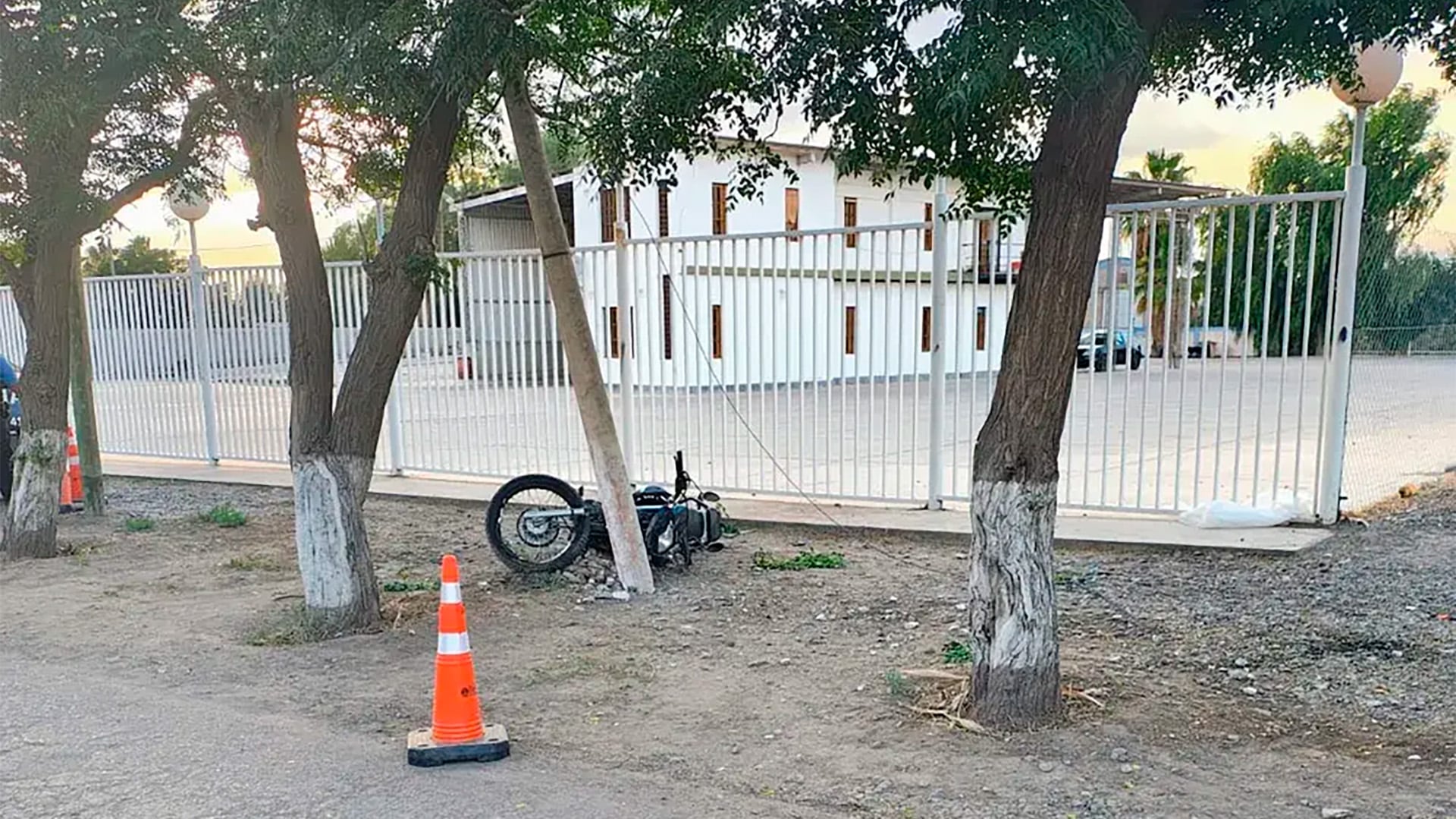 La motocicleta yace sobre un árbol en Mendoza (Crédito: Uno)