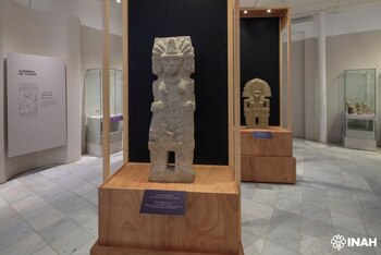 La estela de la jugadora