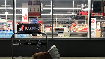 What is the reason why