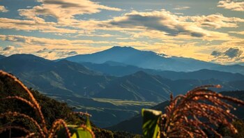 Entre los principales atractivos de