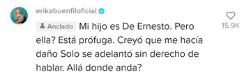 Erika Buenfil recordó un desafortunado