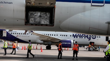 El cargamento llegó al aeropuerto