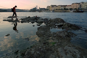 El mes de abril acumuló solo el 10 % de las precipitaciones habituales y redujo la humedad del suelo antes del verano (AP Foto/Bela Szandelszky)