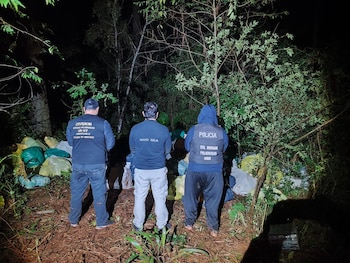 Operativo contra el narcotráfico en Misiones