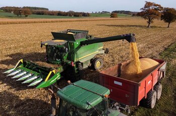 La cosecha de maíz podría