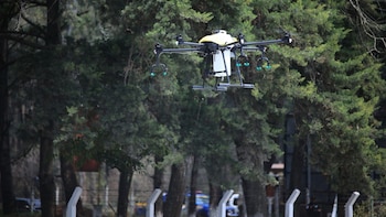 Um drone amarelo e preto com vários rotores e um pulverizador embutido voando no ar. O fundo são folhas verdes grossas