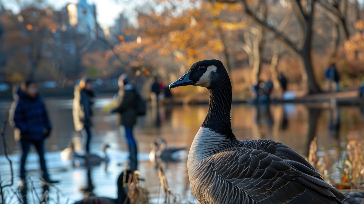 Urban Birds: A Double-Edged Sword in Avian Flu's Global Spread