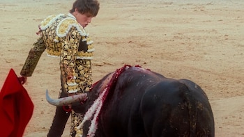 “El debate sobre las corridas