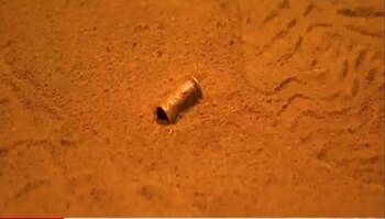 Villa María del Triunfo: sicarios