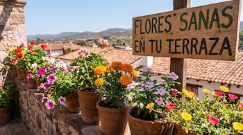 Macetas de barro con flores de colores en el muro de una terraza junto a un cartel de madera con texto.
