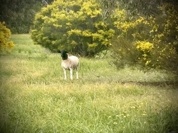 La comunidad reconoce el destino