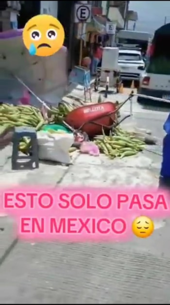 El apodo 'Lady Elotes' se