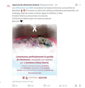 La Agencia de Atención Animal