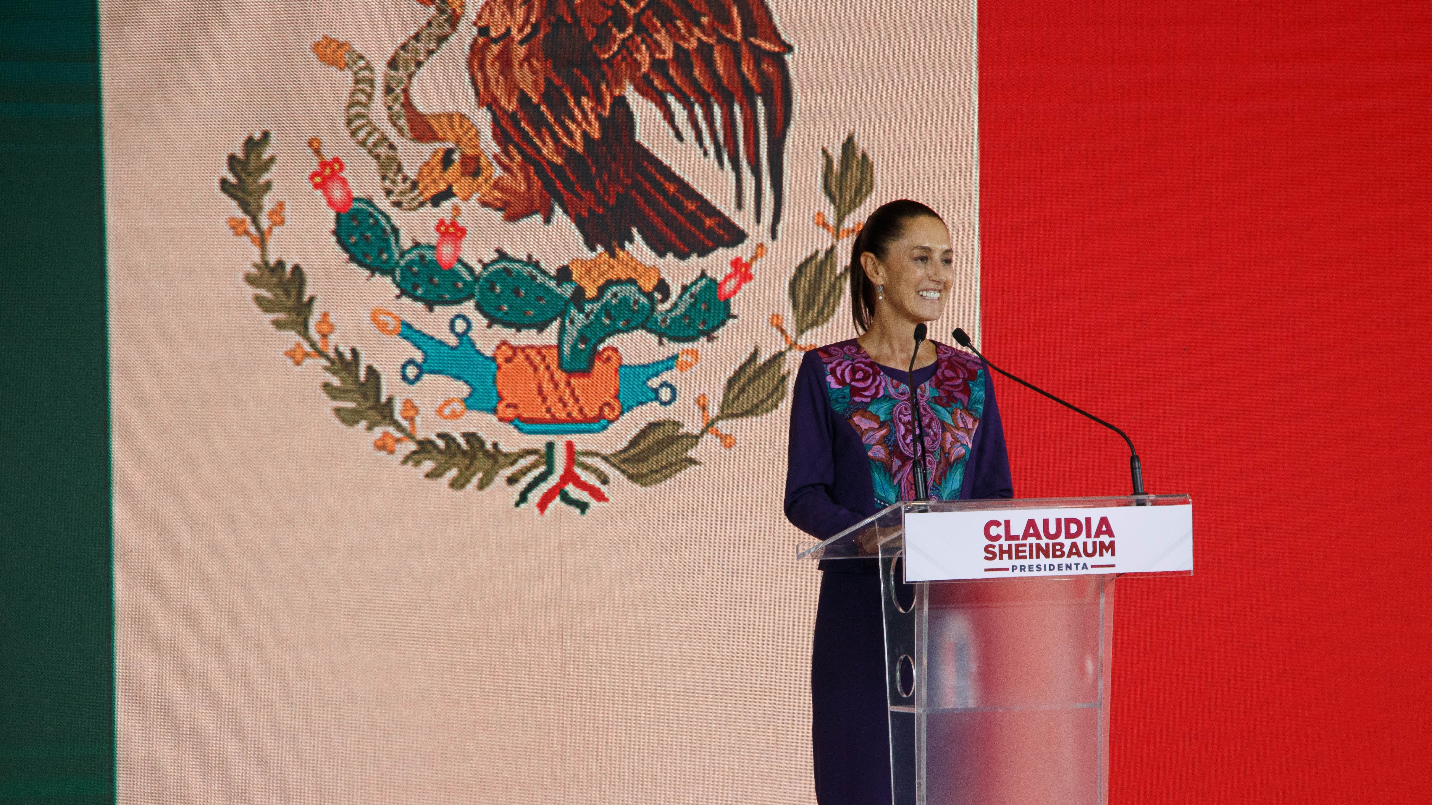 MUNDIAL EN LA MIRA: Debate por suspensión de clases y controversias en el gobierno