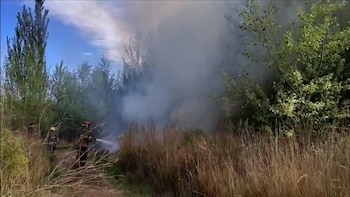 Declararon la emergencia agropecuaria en