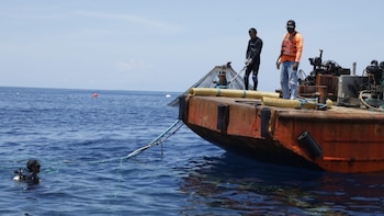 Panamá implementará acuerdo sobre conservación y sostenibilidad de la biodiversidad marina
