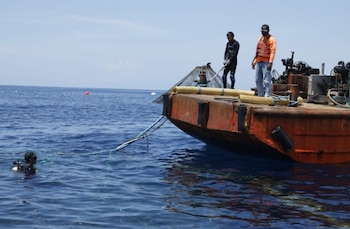 Acuerdo busca establecer áreas marinas protegidas y otros mecanismos de ordenamiento en zonas de alta mar. (Cortesía)