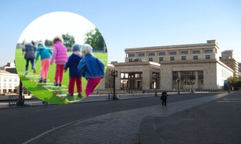 Se presentó tutela ante la