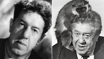 Entre genio e ícono: la