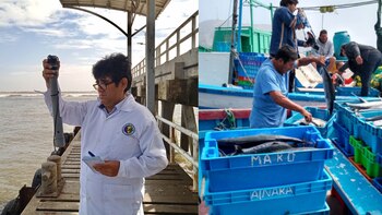 Pescadores y defensores de la