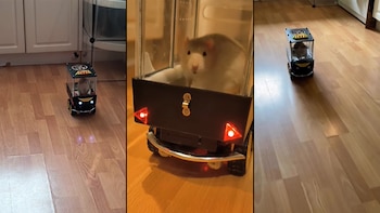 El vehículo está hecho a