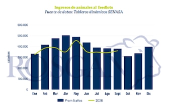 Ingresos a feedlots