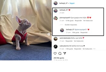 Bella es la hija perruna