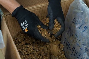 FGR, El Salvador, droga