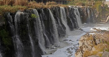 El gobierno de Jalisco resolvió