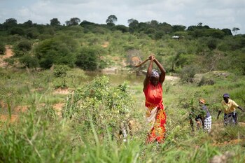 01/01/1970 Método de regeneración natural