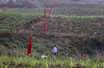 Una mujer camina junto a