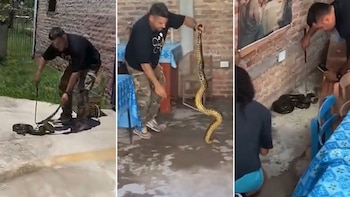 Una mujer encontró una serpiente