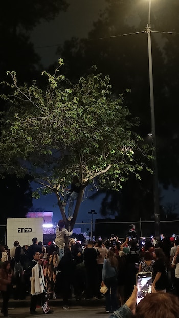 Multitud de personas de noche afuera. Una persona sube un árbol. Otros observan y graban con teléfonos. Un poste de luz ilumina. Edificio blanco con "ENED" atrás